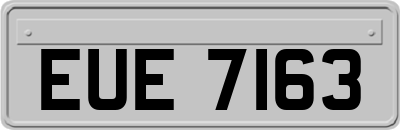 EUE7163