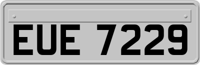EUE7229