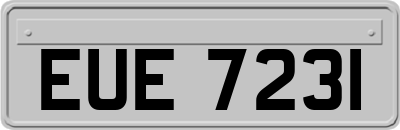 EUE7231