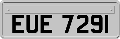 EUE7291
