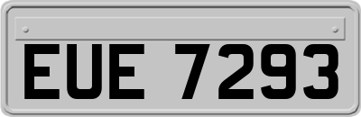 EUE7293