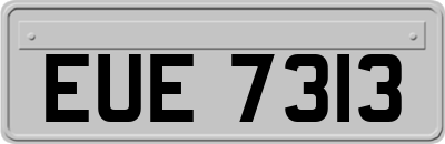 EUE7313