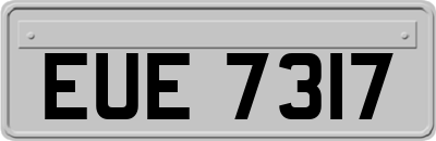 EUE7317