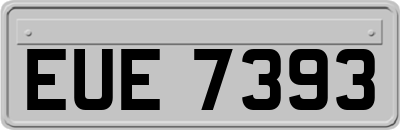 EUE7393