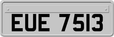 EUE7513