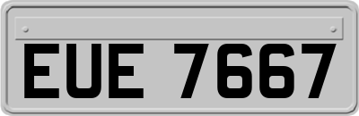 EUE7667