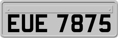 EUE7875