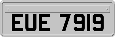 EUE7919