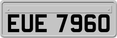 EUE7960