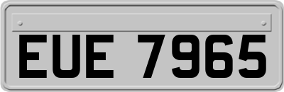 EUE7965