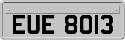 EUE8013