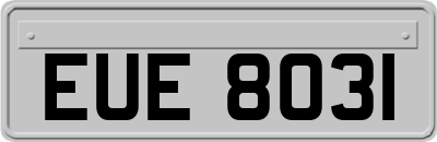 EUE8031