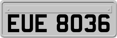 EUE8036