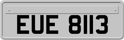 EUE8113