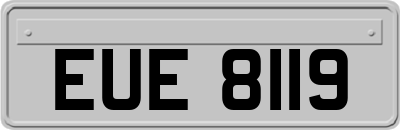 EUE8119