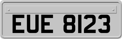 EUE8123