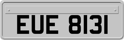 EUE8131