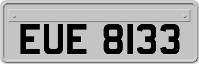 EUE8133