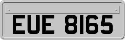 EUE8165