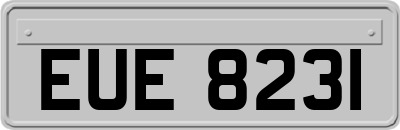 EUE8231