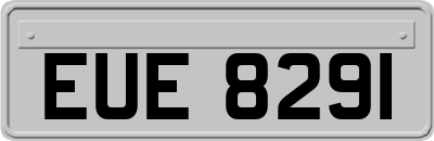 EUE8291