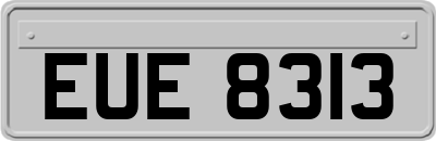 EUE8313