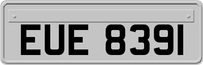 EUE8391