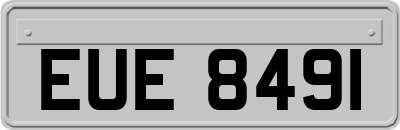 EUE8491