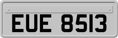 EUE8513