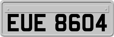 EUE8604