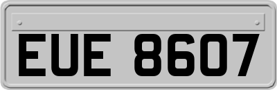 EUE8607