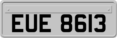 EUE8613