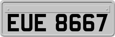 EUE8667