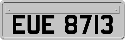 EUE8713