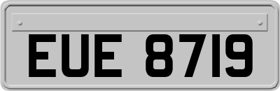 EUE8719
