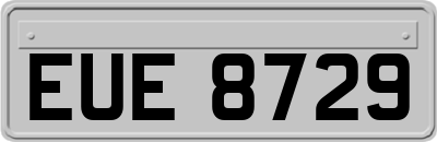 EUE8729