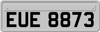 EUE8873