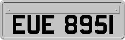 EUE8951