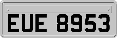 EUE8953