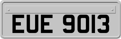 EUE9013