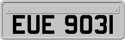 EUE9031