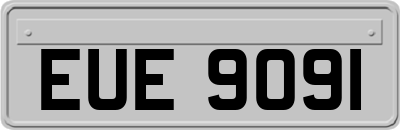 EUE9091