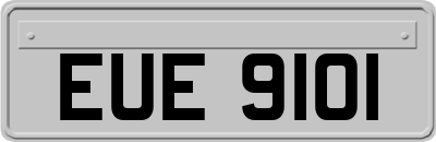 EUE9101