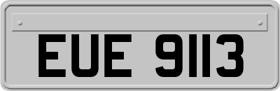 EUE9113