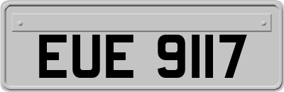 EUE9117
