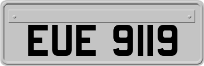 EUE9119