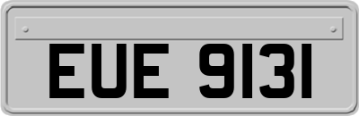 EUE9131