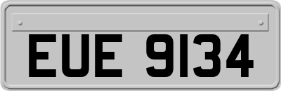 EUE9134
