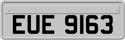 EUE9163