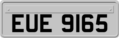 EUE9165